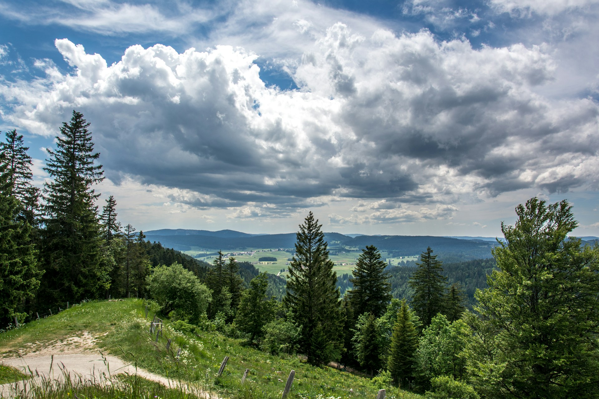 gray computer monitor