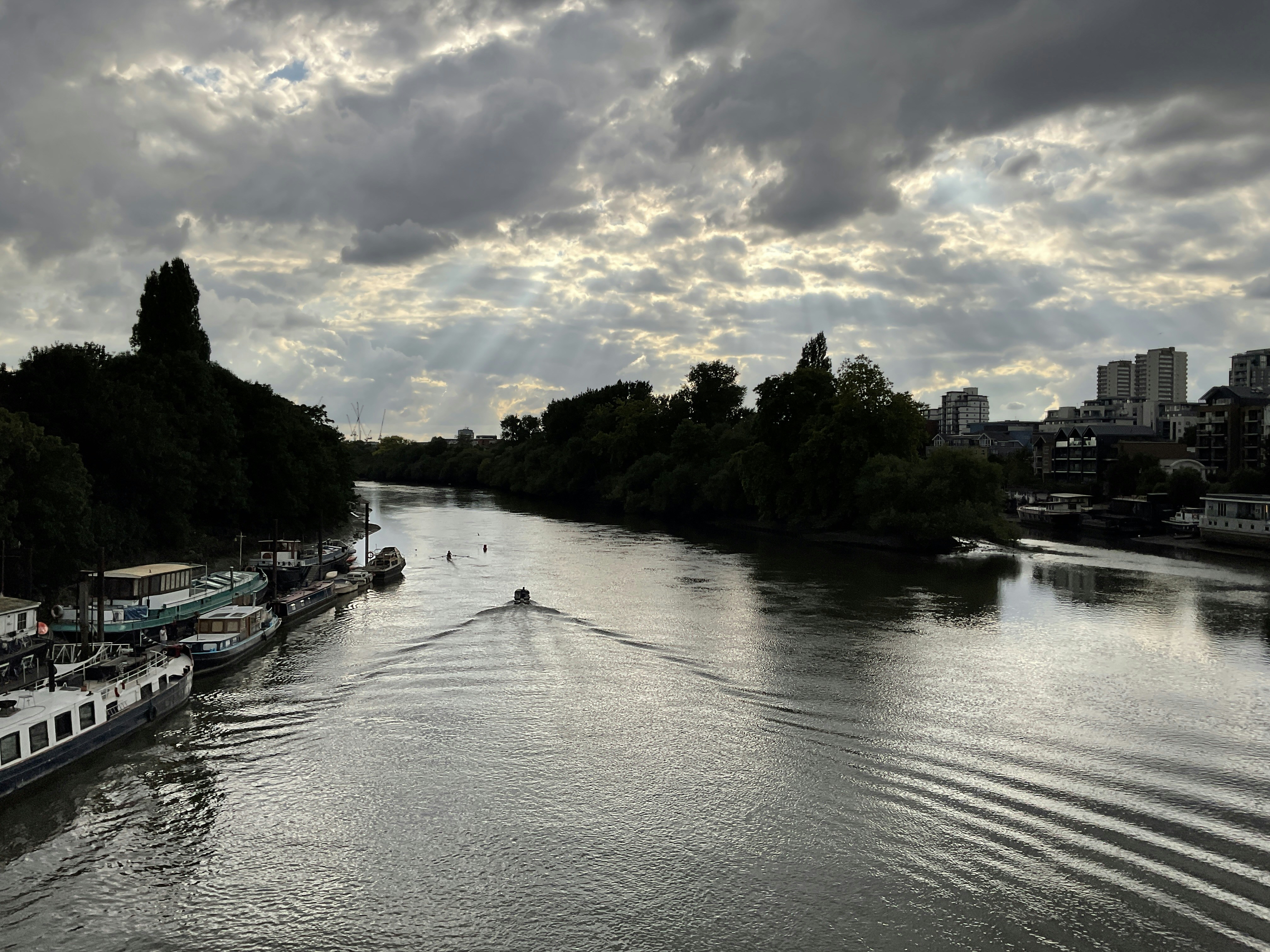 London Bridge To Kew Gardens By Boat Fasci Garden