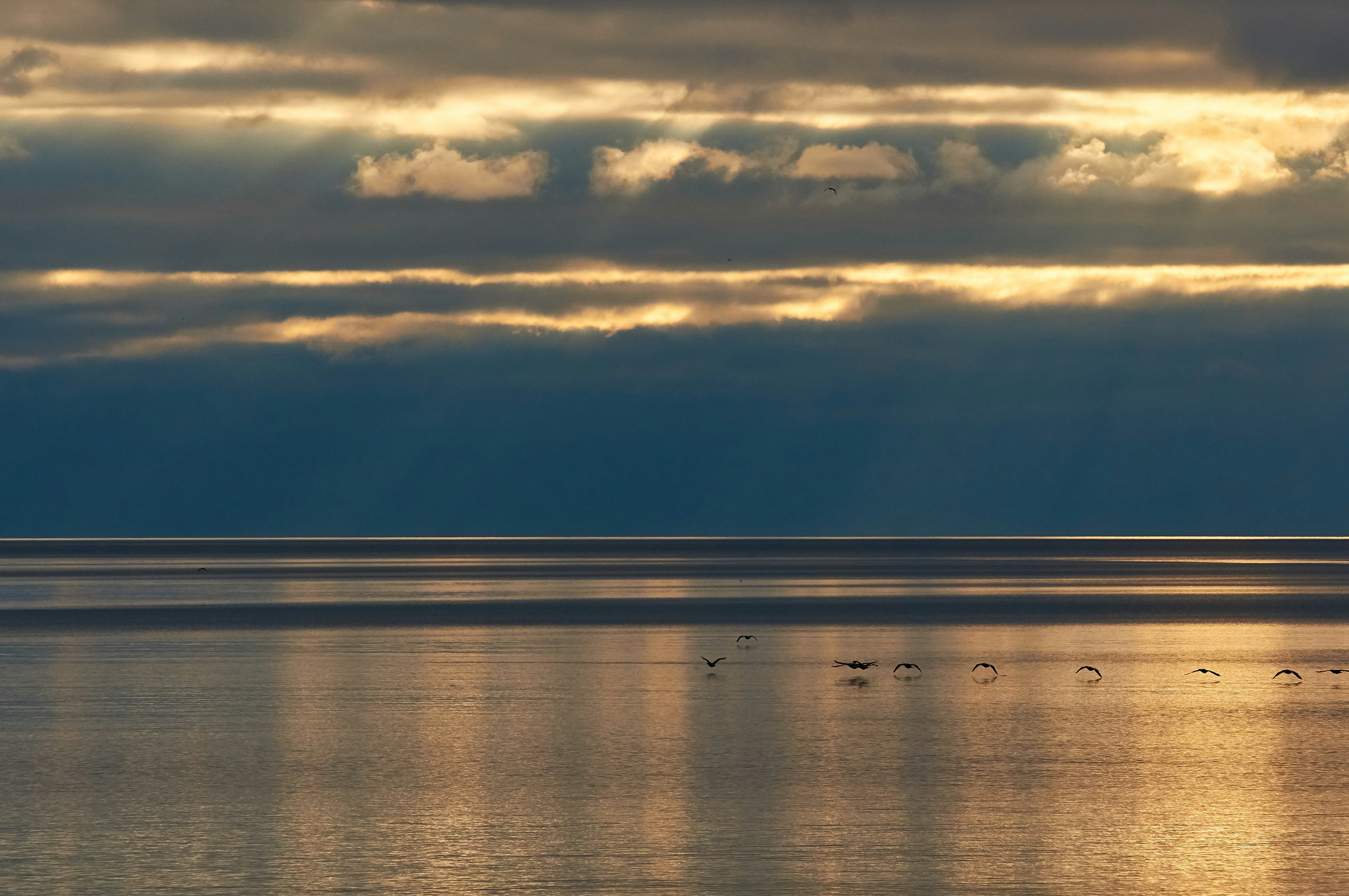 Photo by wolfgang_hasselmann