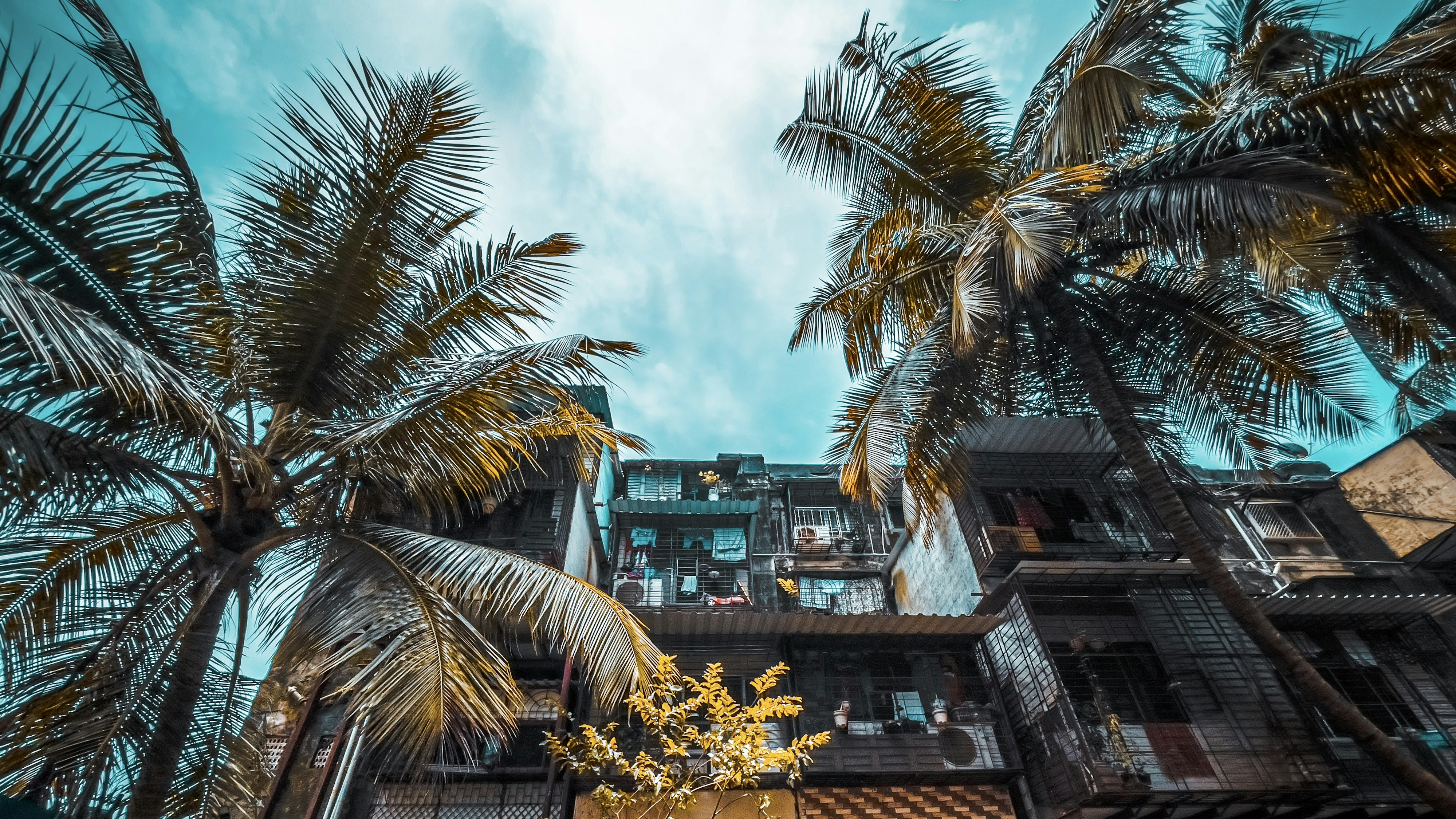 Greatest Places to Stay in  India where Color is Doubly Bright