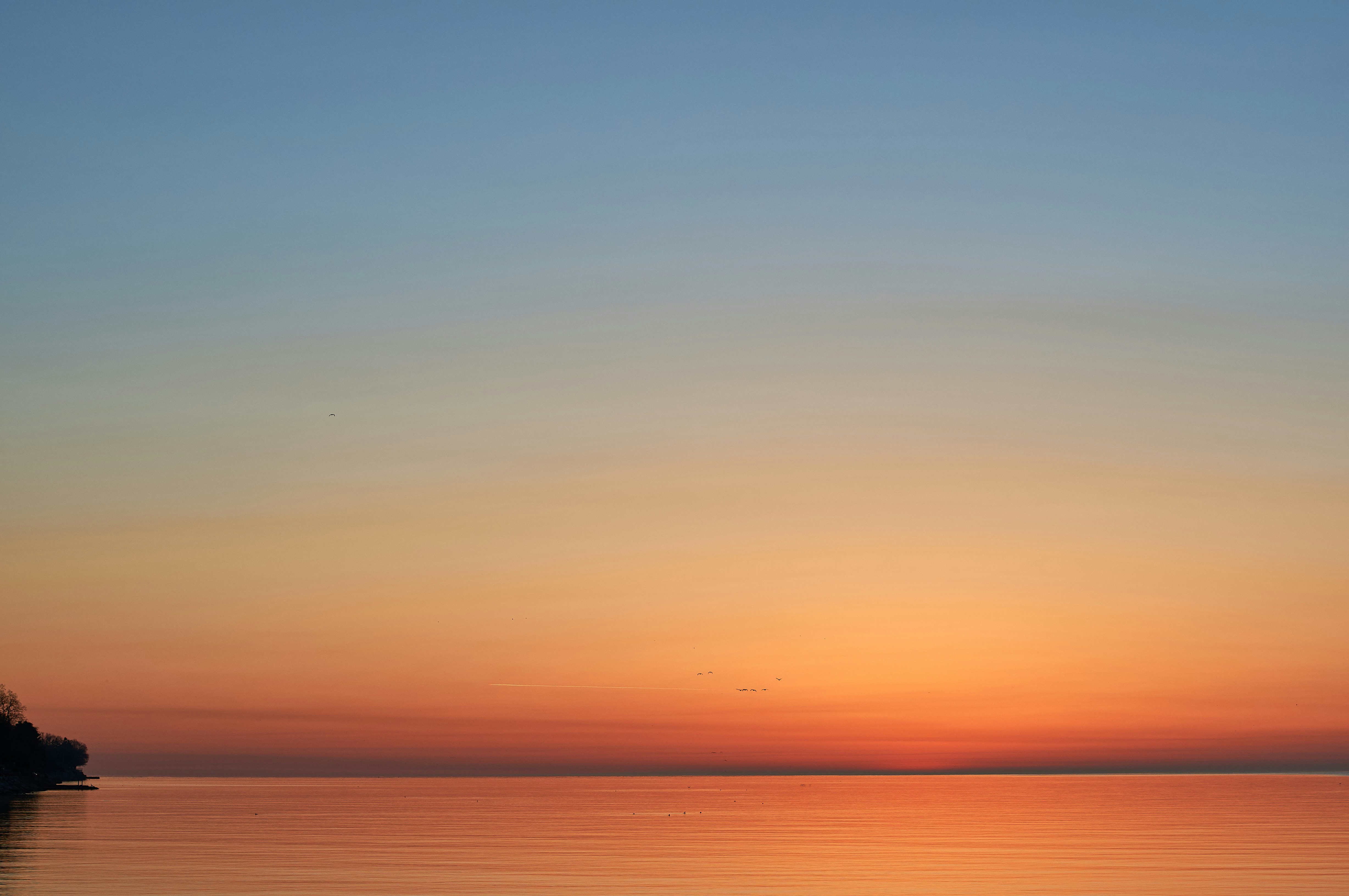 Photo by wolfgang_hasselmann