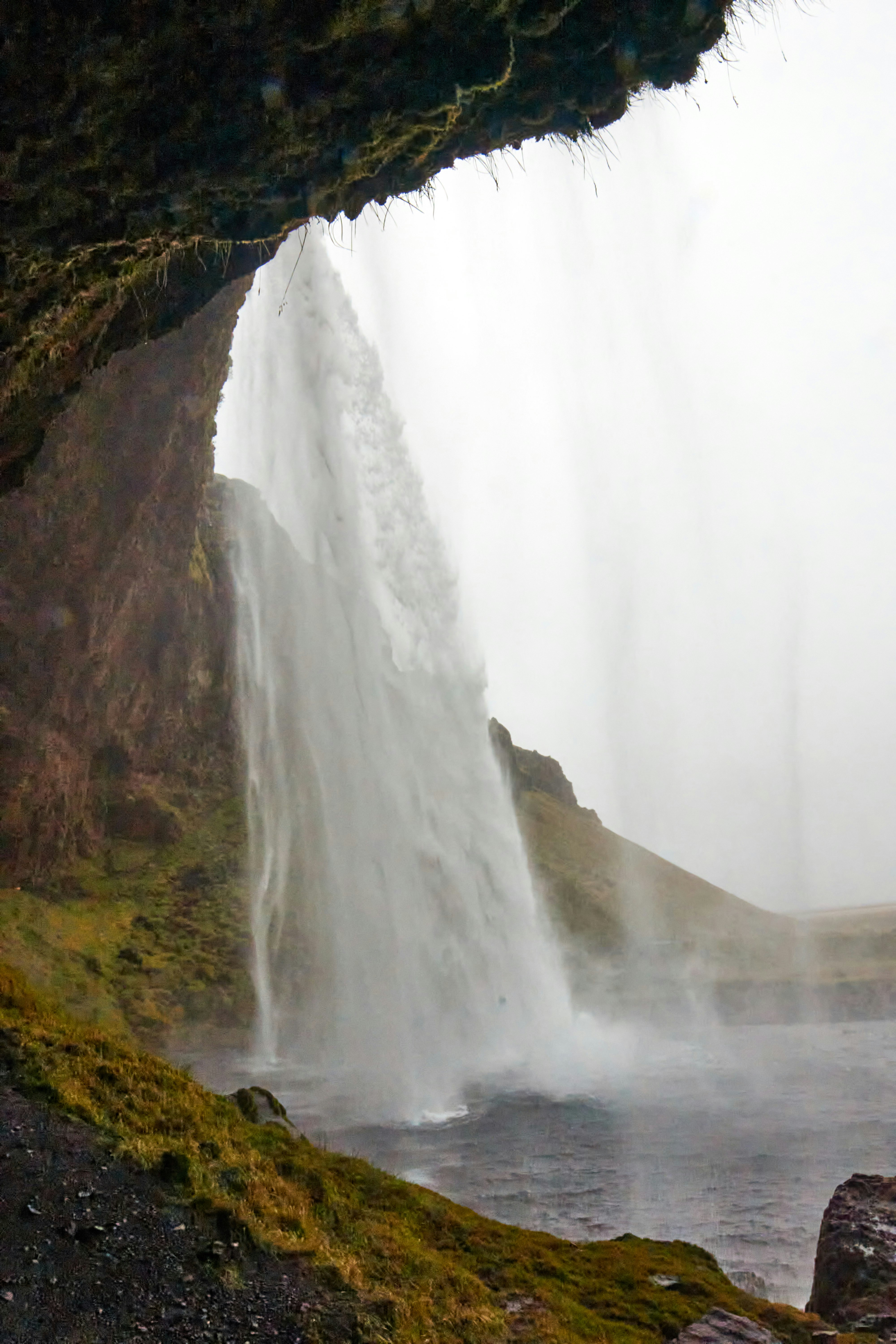 Photo by wolfgang_hasselmann