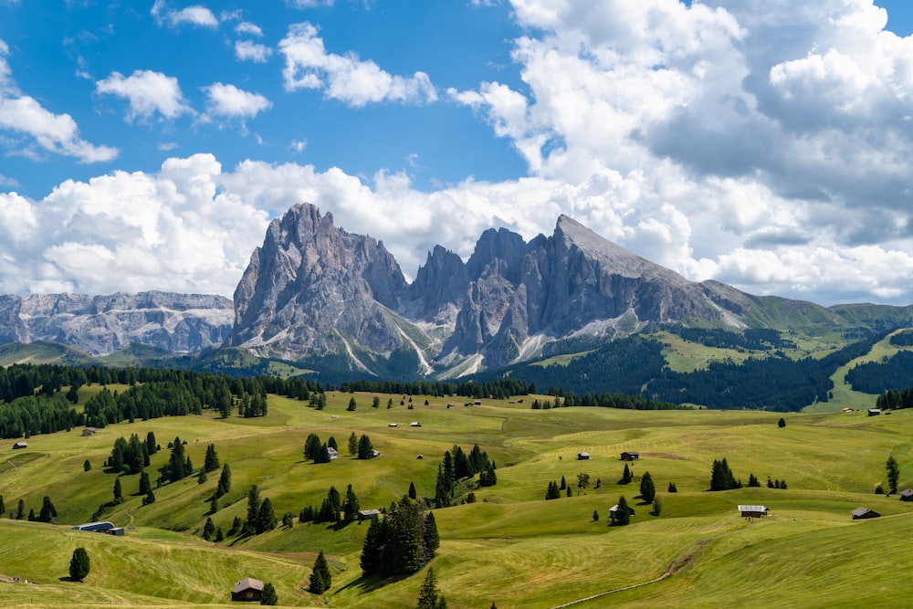 a grassy field with trees and mountains in the background