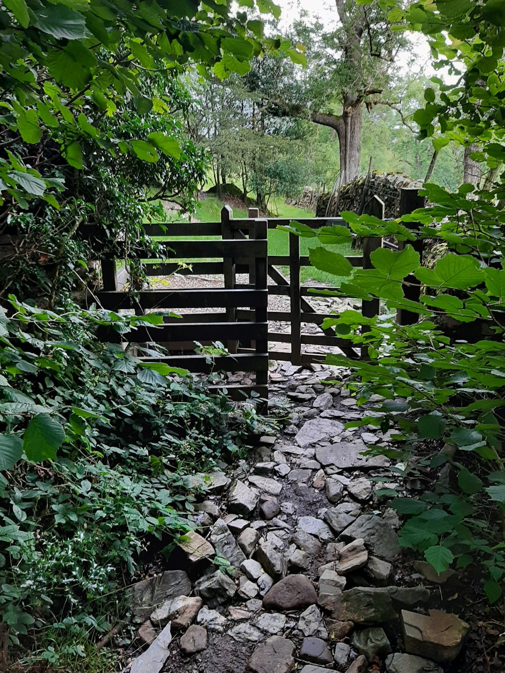 a wooden bridge over a stream