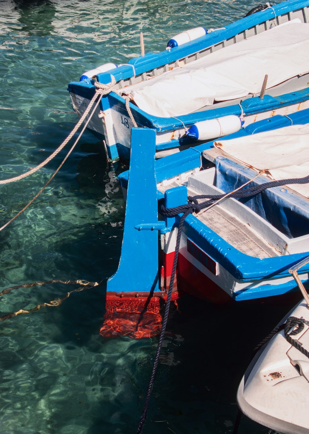 boats tied to a dock