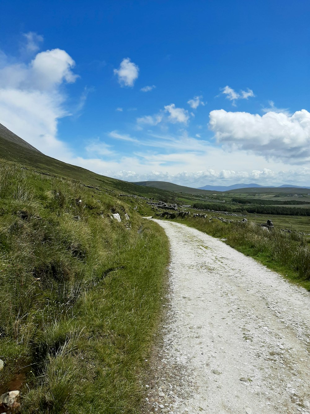 a dirt road in a grassy area