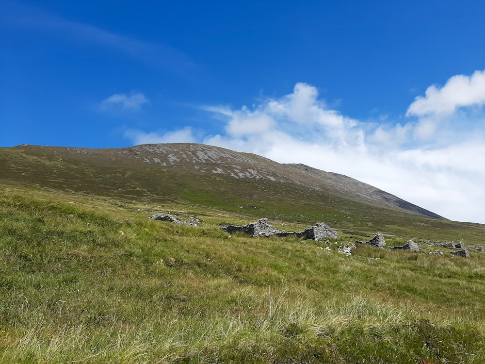 a grassy hill with rocks on it