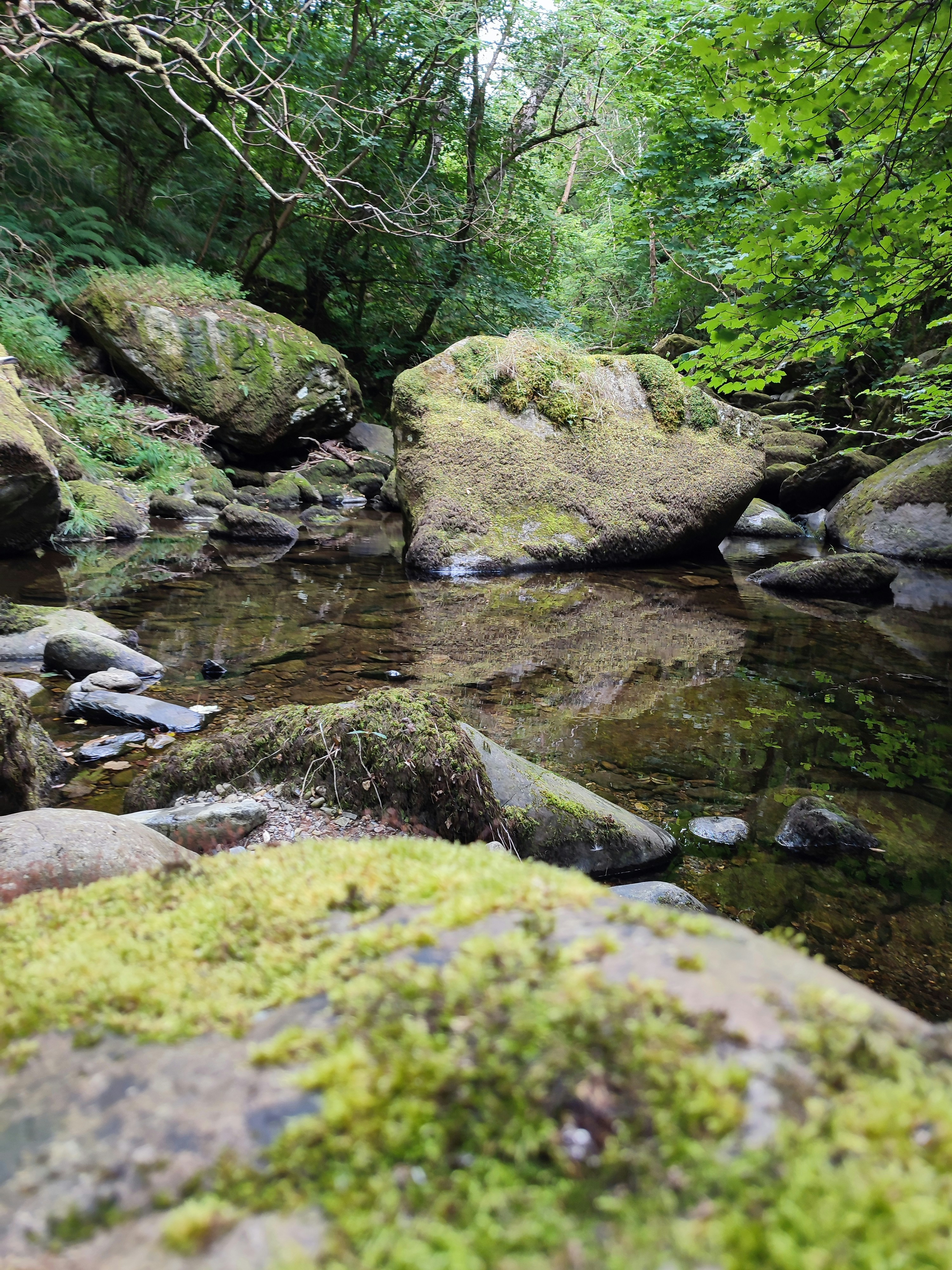 Photo by jack_hughes21