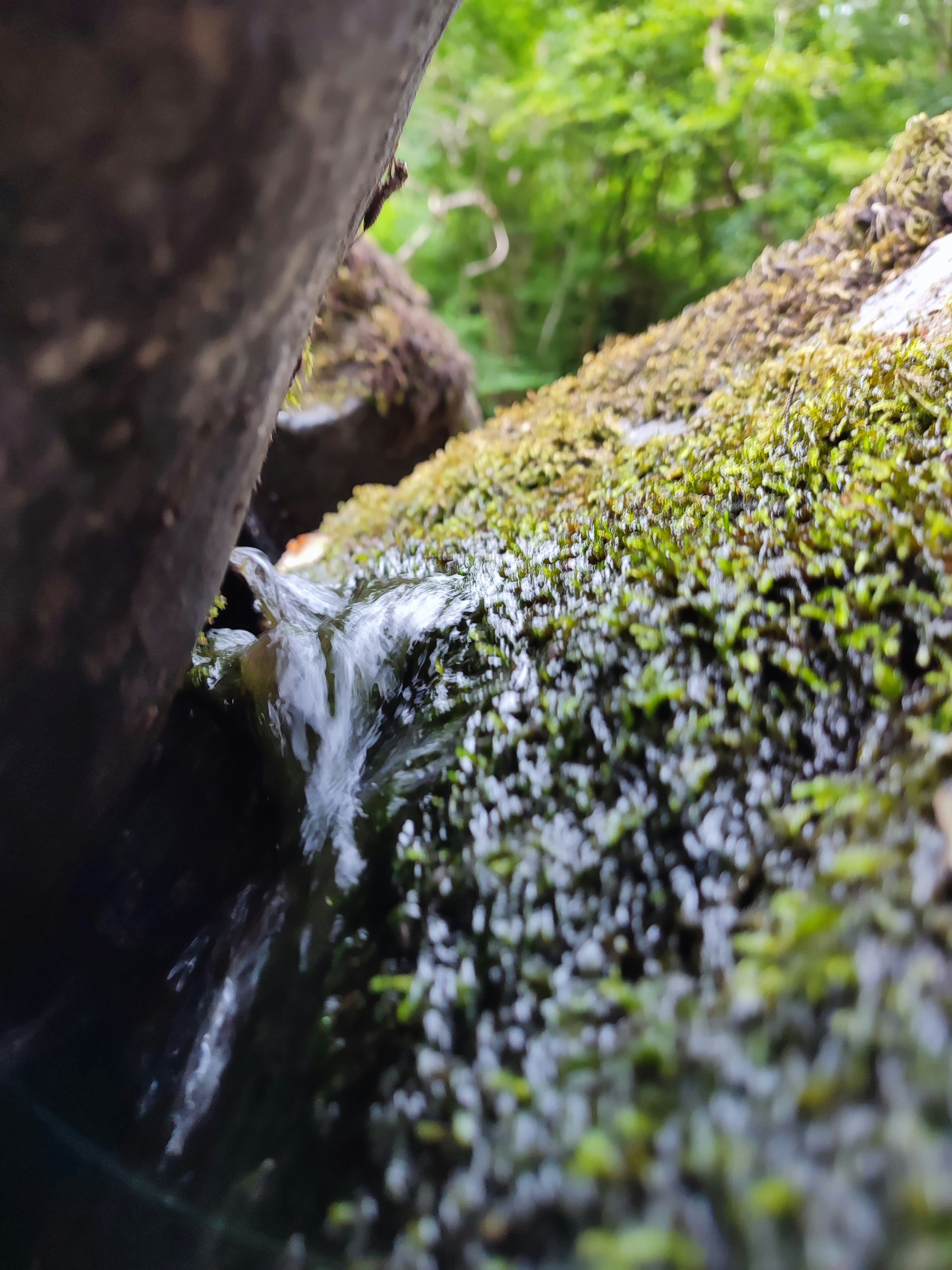 Photo by jack_hughes21