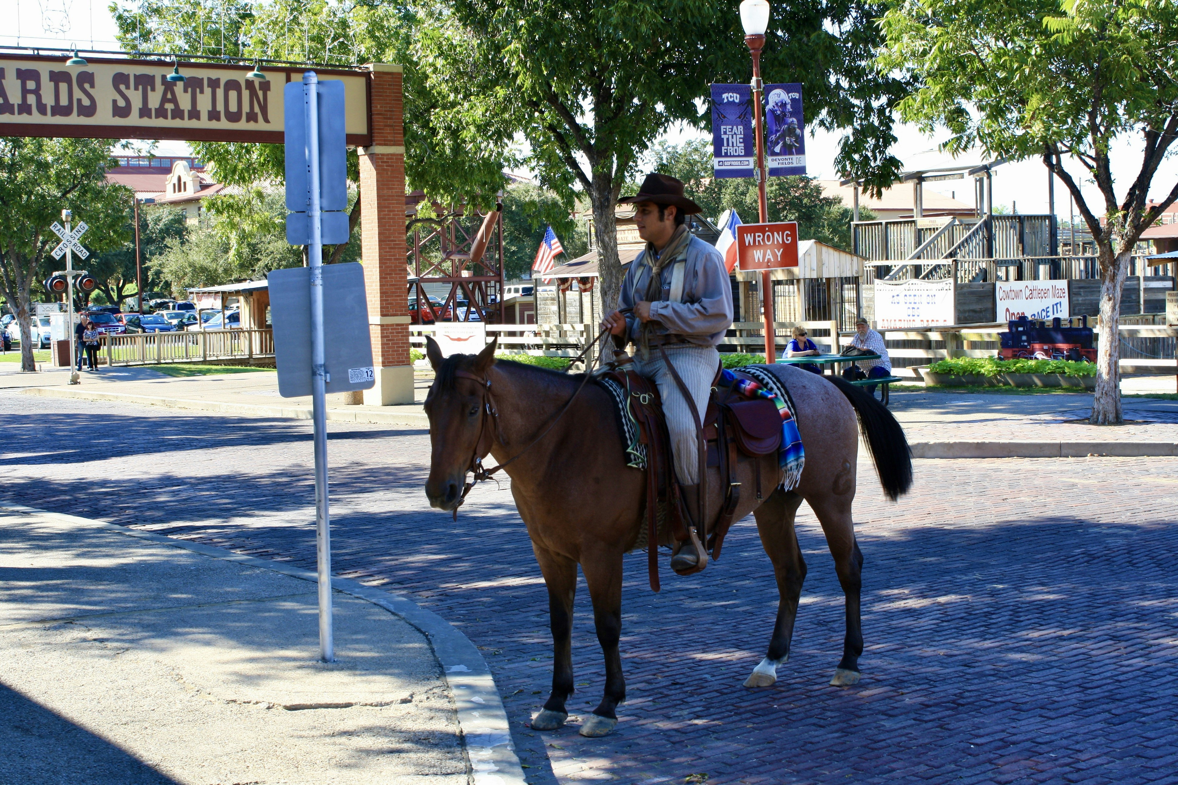 Charming Cowboy's Summer Love
