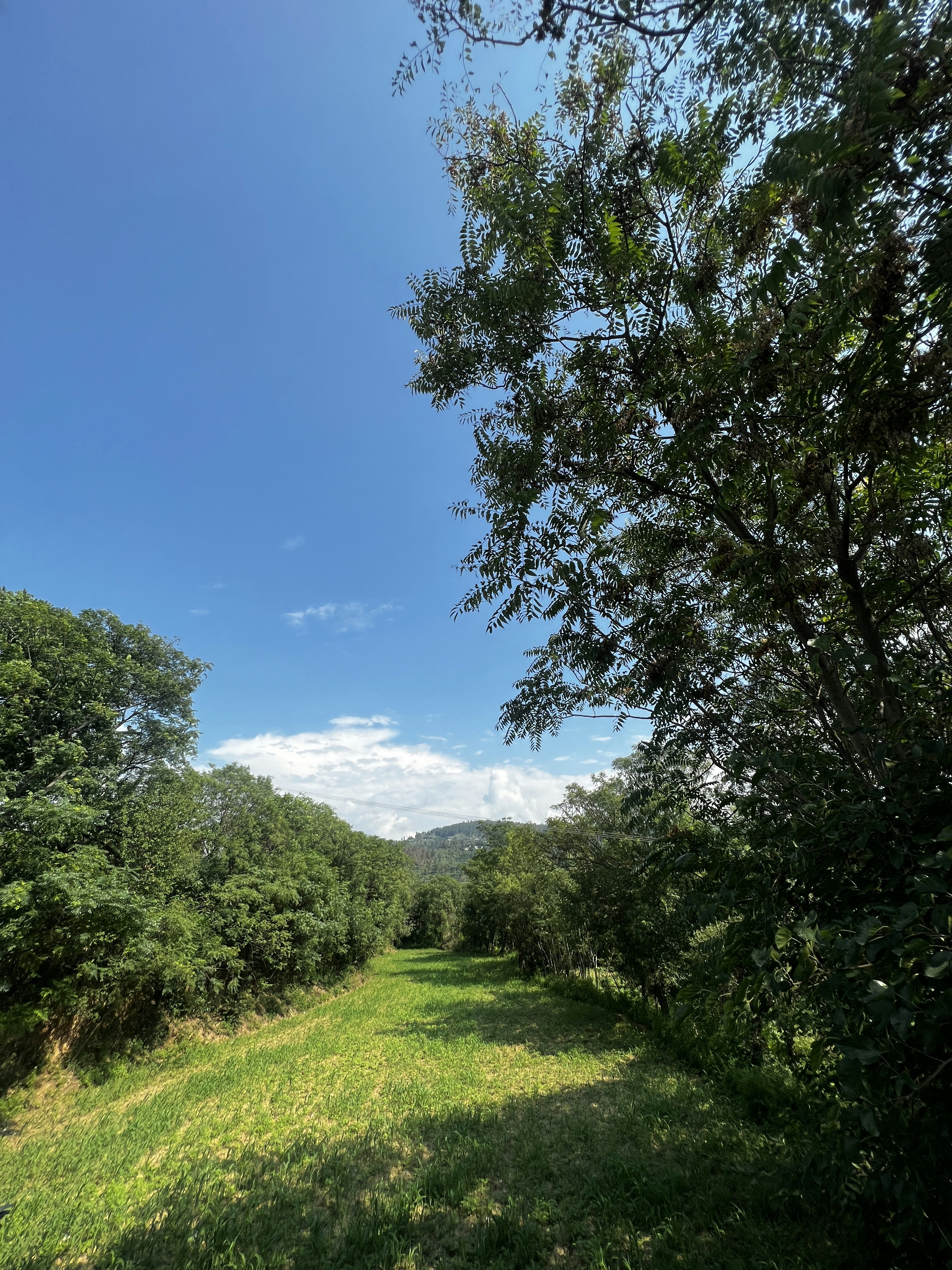 What is DNS hijacking? How to deal with it effectively? 