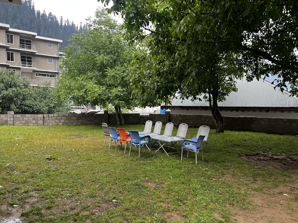 a group of chairs and a tree in a yard