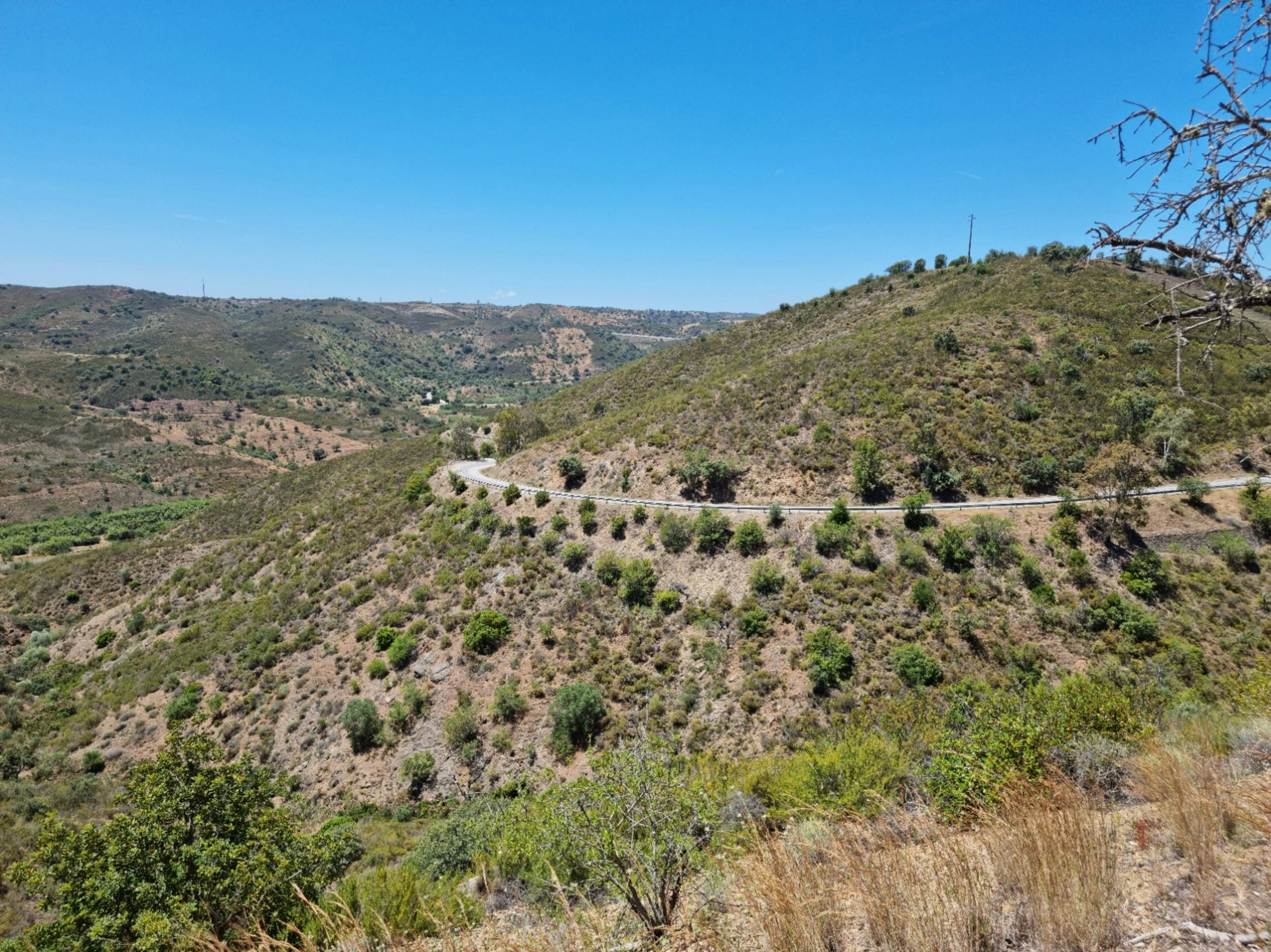 a landscape with hills and trees, 