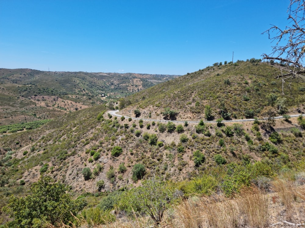 a landscape with hills and trees