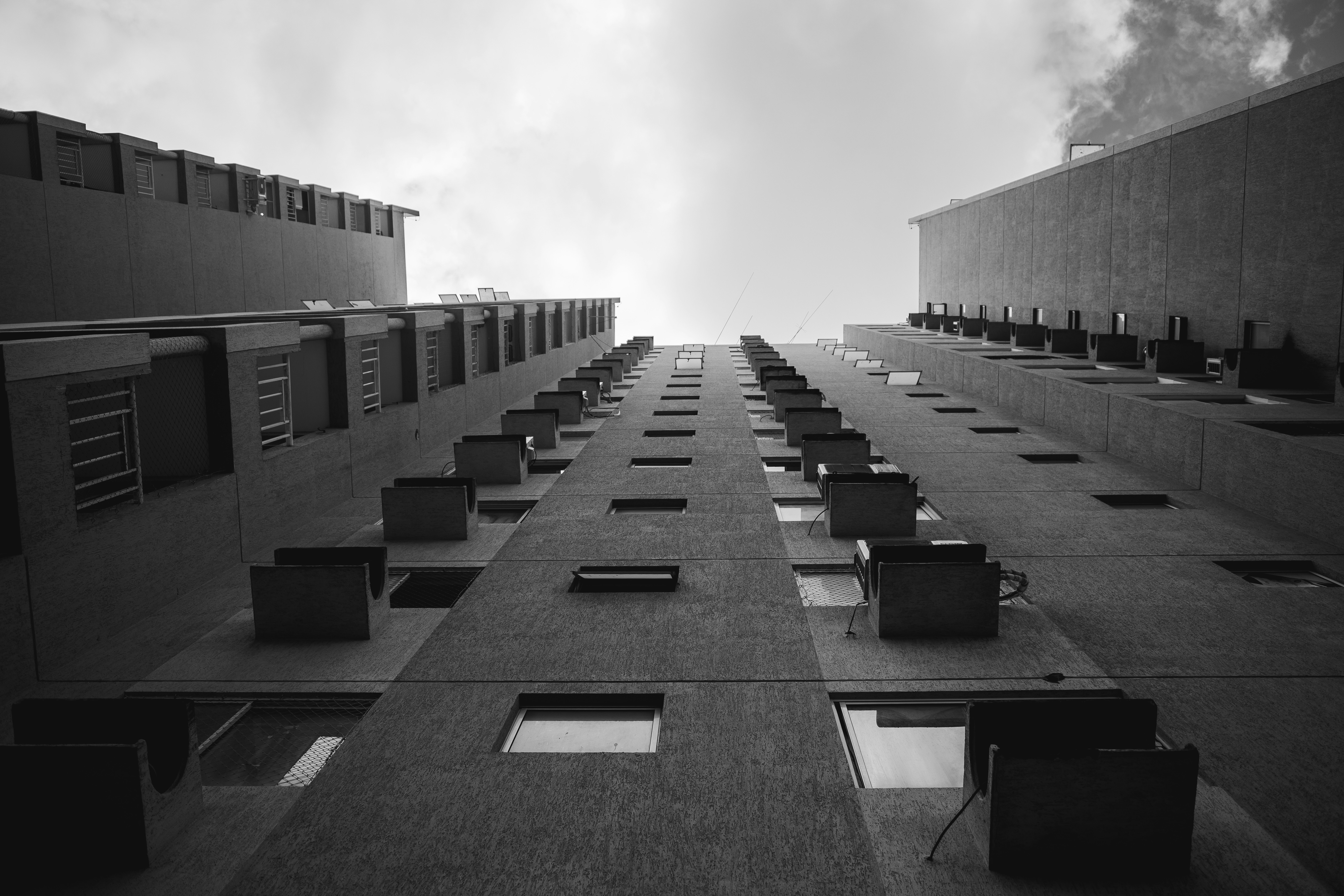 Photo by juniorreisfoto