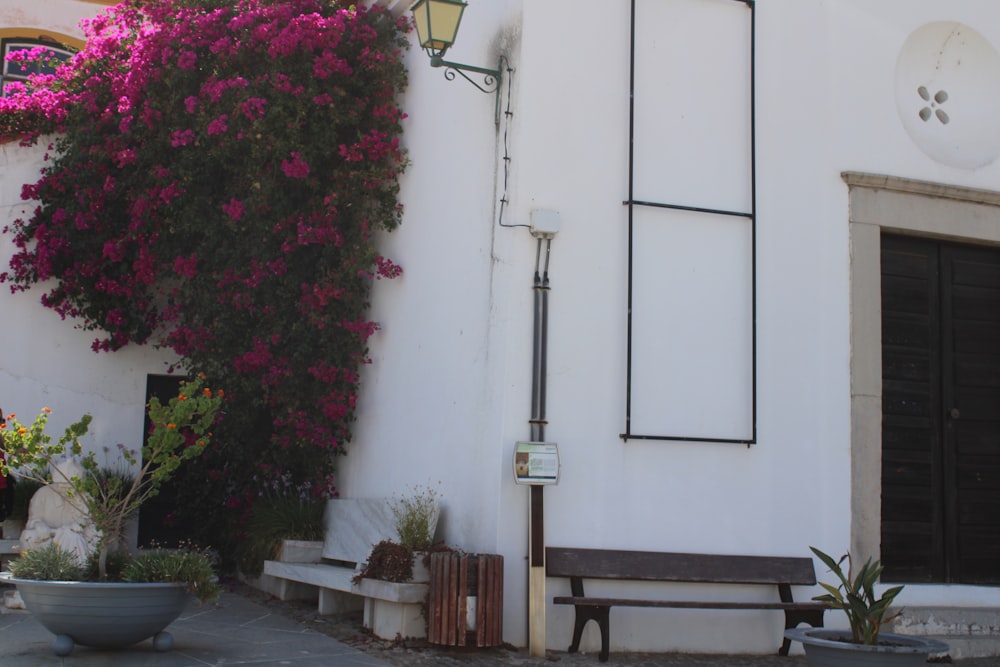 a bench next to a wall with flowers