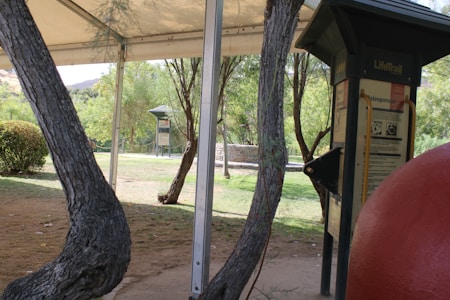 An exercise station with informational signage is situated in a park. Trees and bushes are present, providing a natural setting. A canopy covers part of the area, and there's a red exercise ball or apparatus in the foreground.
