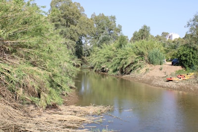 A narrow, calm river is bordered by dense green vegetation and tall trees. The bank features some dry, brown reeds scattered near the water's edge. On the right side, a few colorful kayaks are resting on the ground next to a parked black vehicle. The sky is clear, indicating a sunny day.
