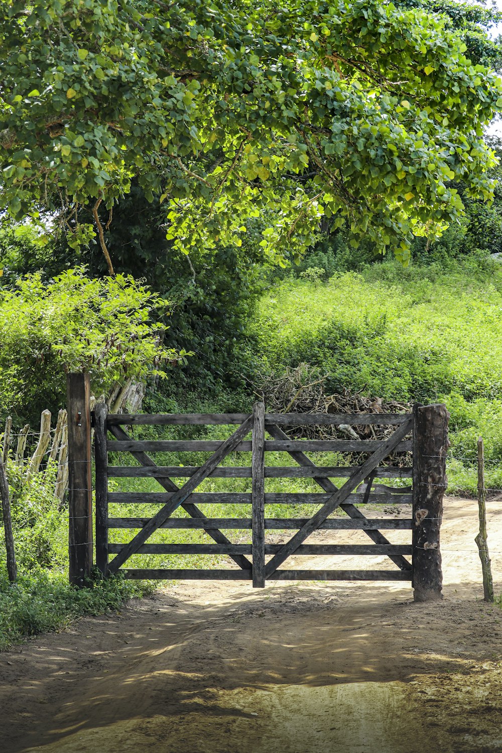 a wooden fence in front of a forest