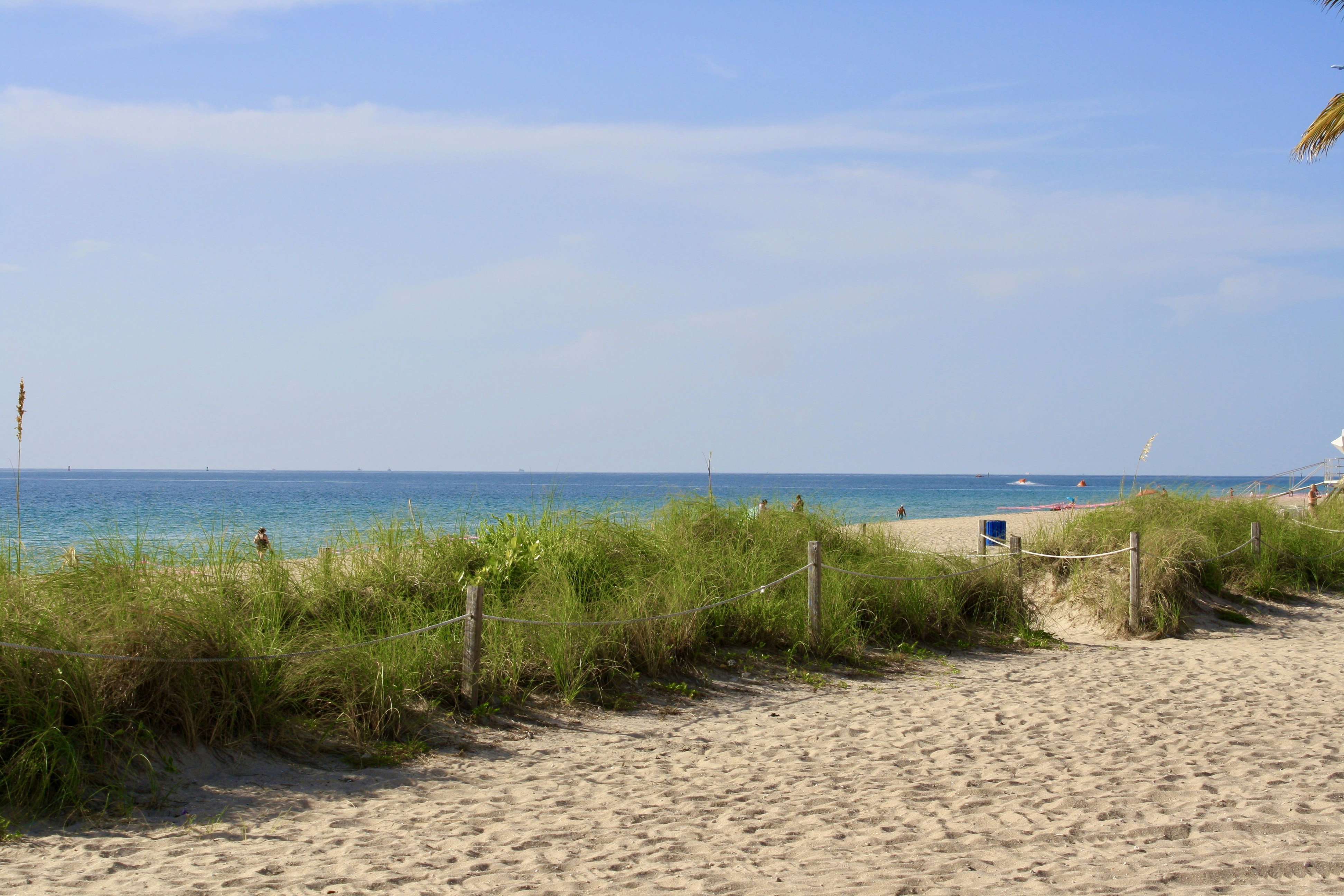 Photo by sandytoes2020