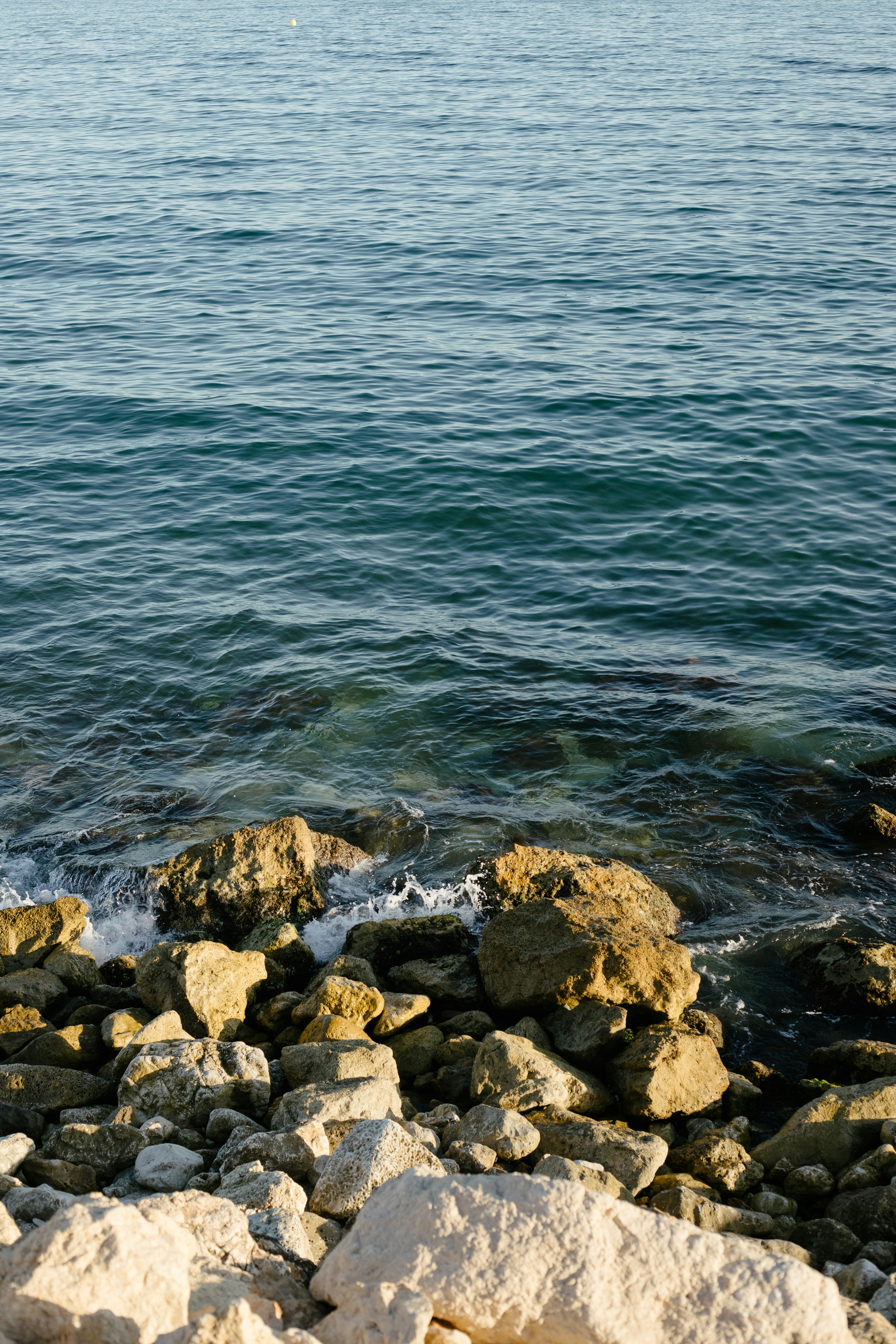 Photo by juliamatuzova