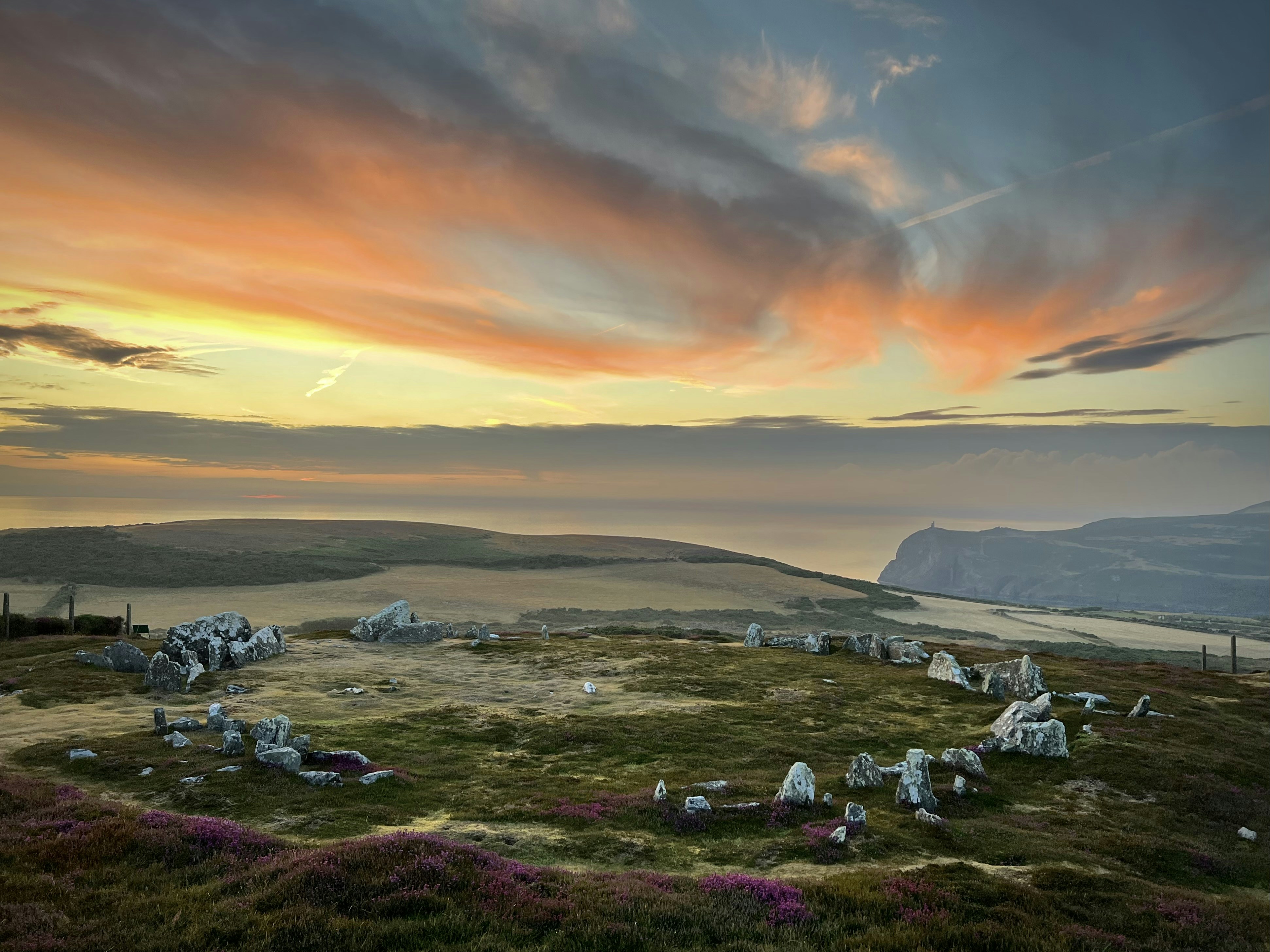 a field of grass with rocks and a body of water in the background