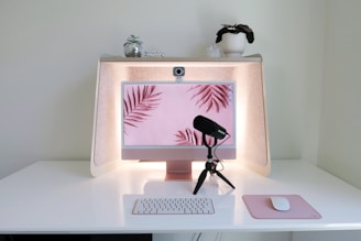 a computer monitor and a toy figure