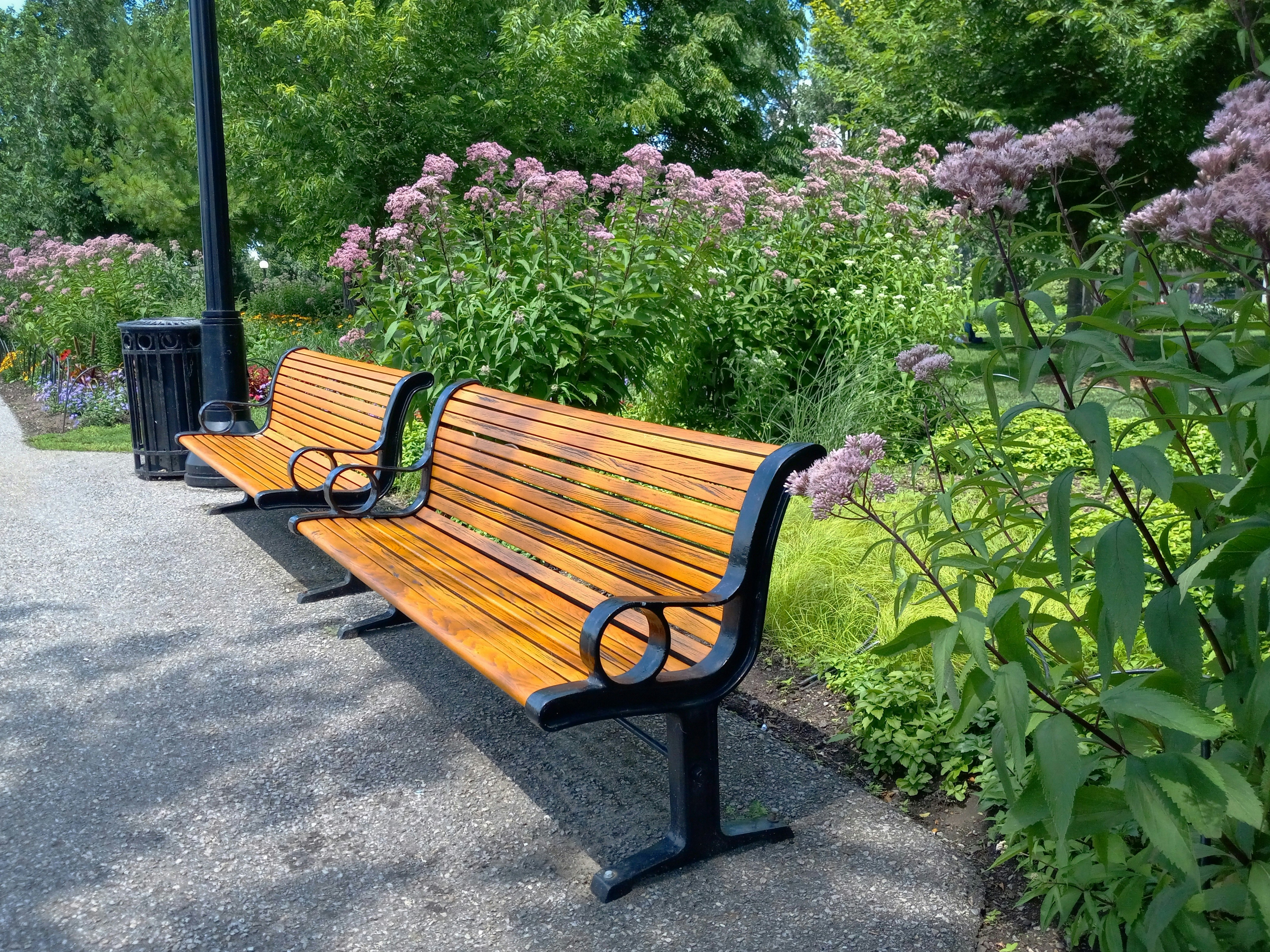 Bancos em um parque foto – Imagem grátis sobre Verão na Unsplash, image size:3000x2250