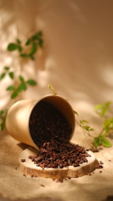 a plant growing in a pot