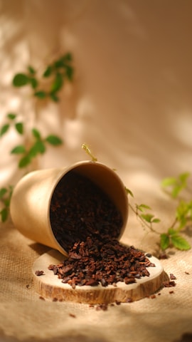 a plant growing in a pot