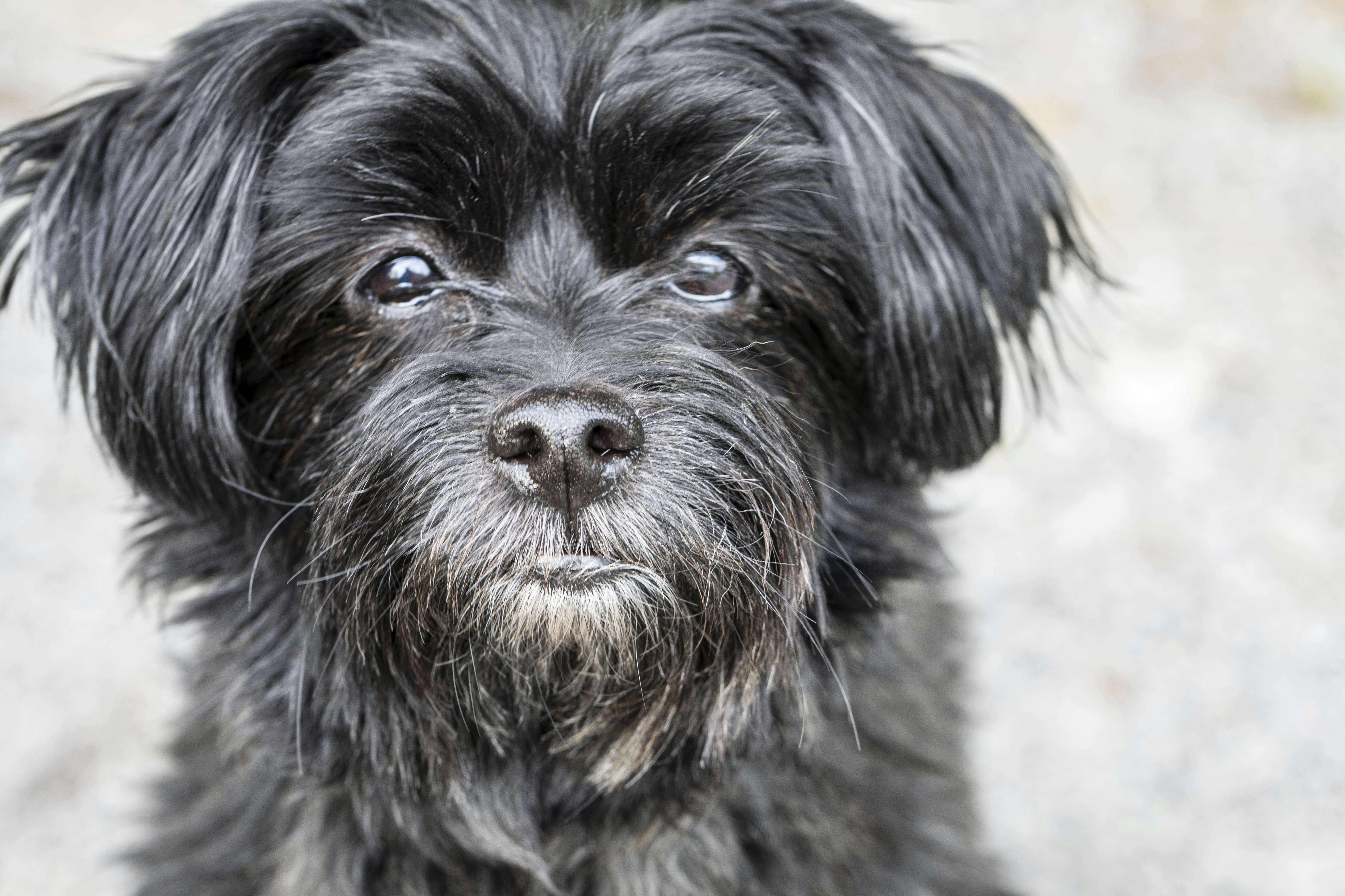 Photo by camerauthor