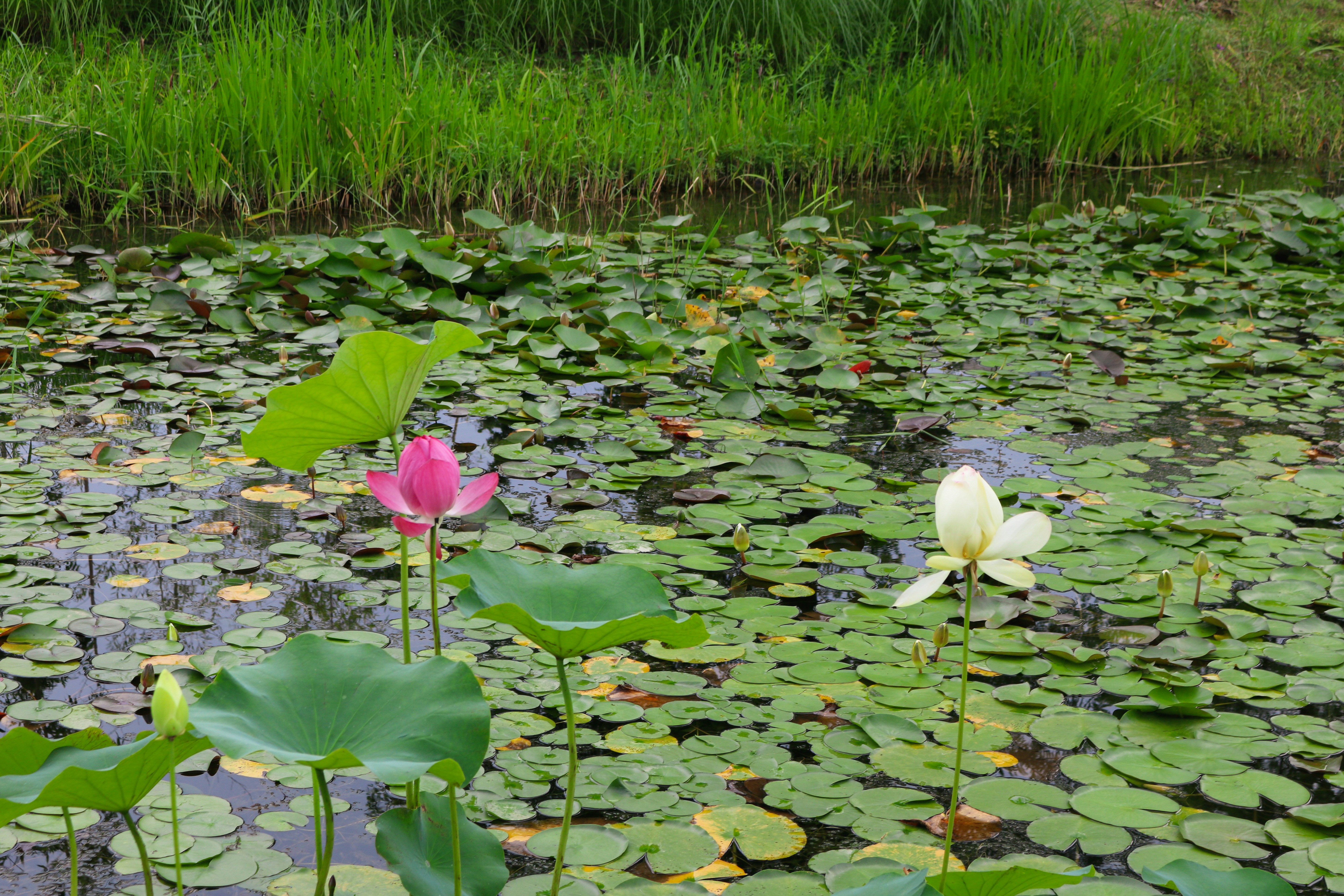 Photo by emilykennison22