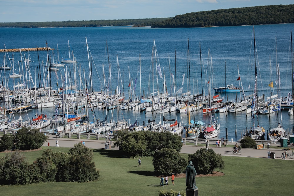 a large group of boats docked