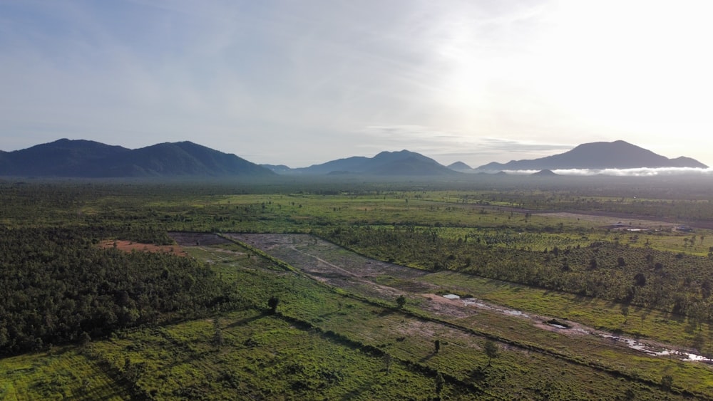 a large green landscape