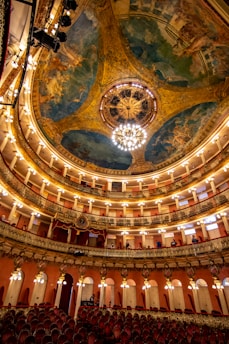 a large ornate ceiling with a chandelier and a large group of people in the front