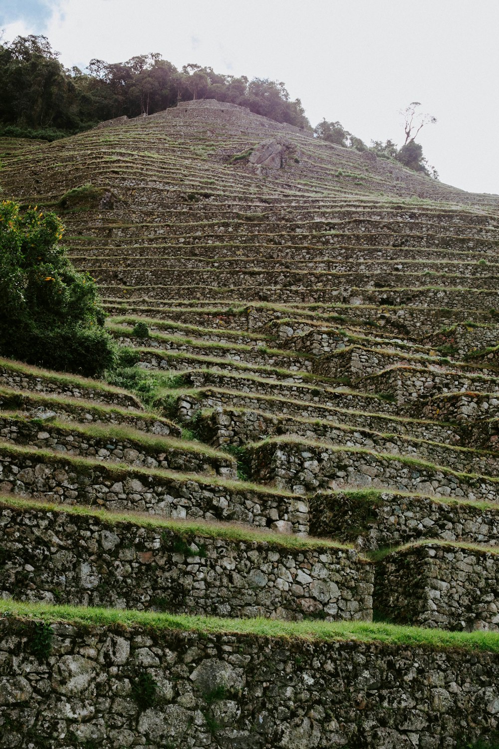 a hill with a stone wall