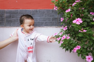 A young child wearing a light-colored onesie reaches out to touch a branch with vibrant pink flowers. The scene is set against a background of a wall with a red and gray color scheme. A hand gently supports the child, ensuring they remain steady.