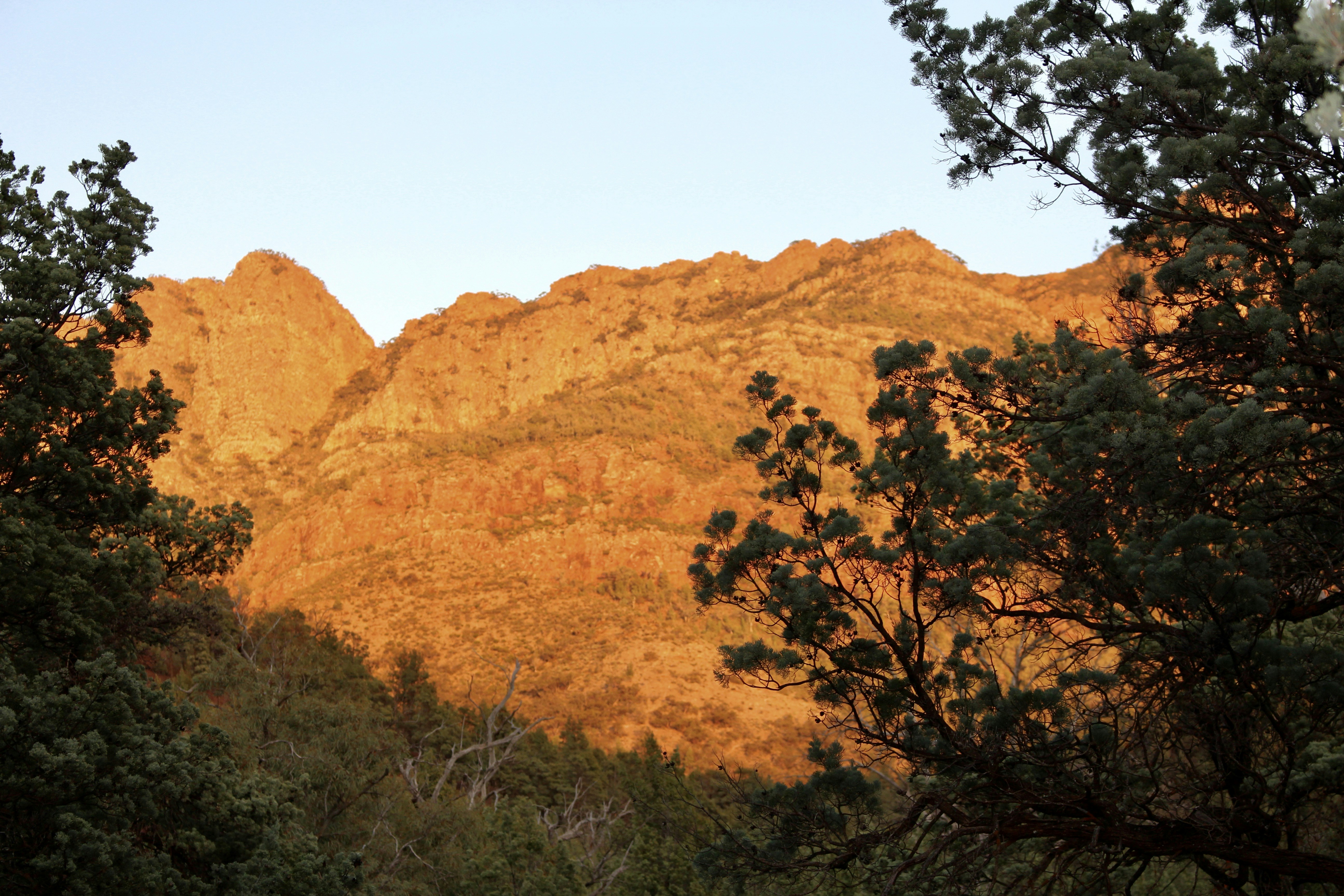 Photo by lisa_heliotropia