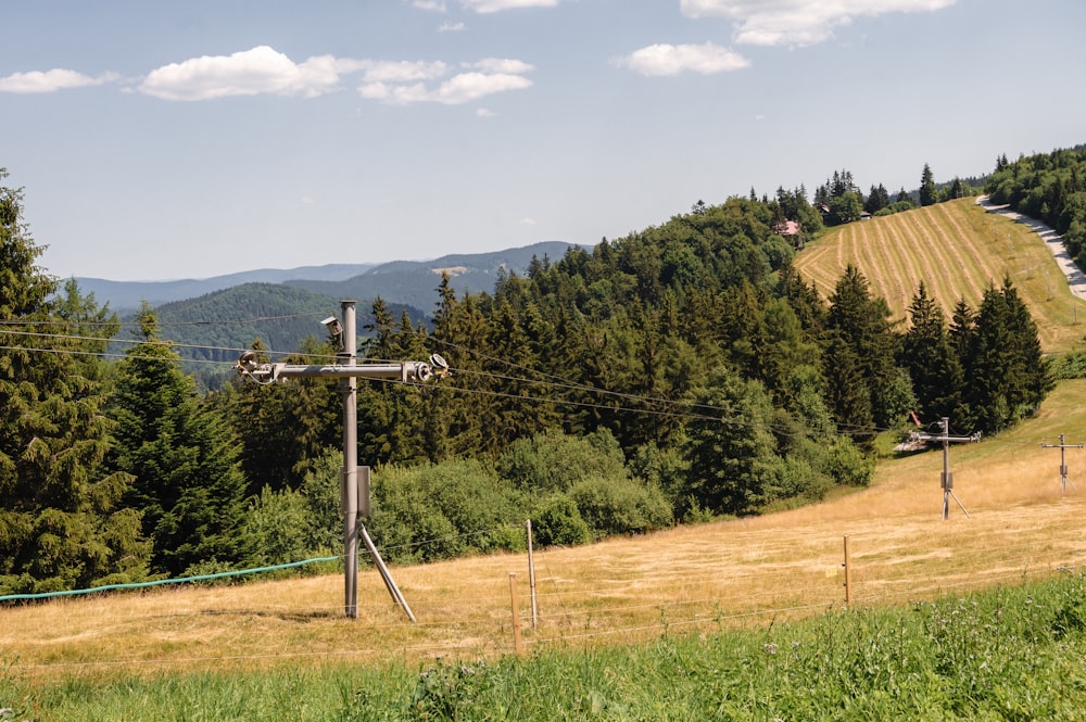 a grassy field with power lines and trees in the background