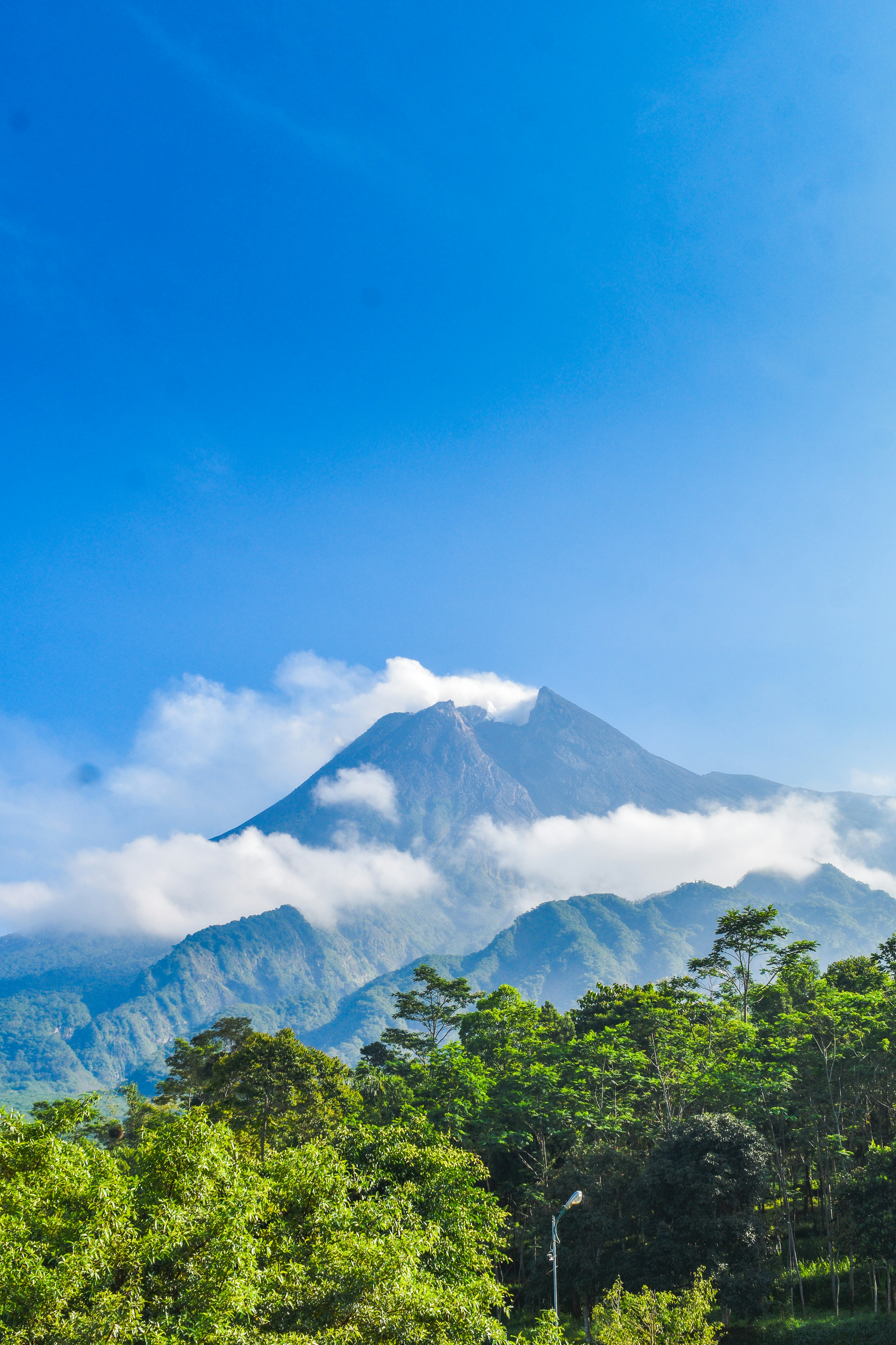 Photo by mdzcomicart