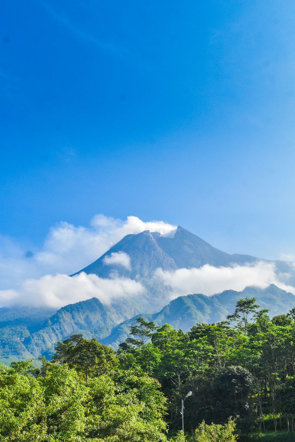 a mountain with trees below