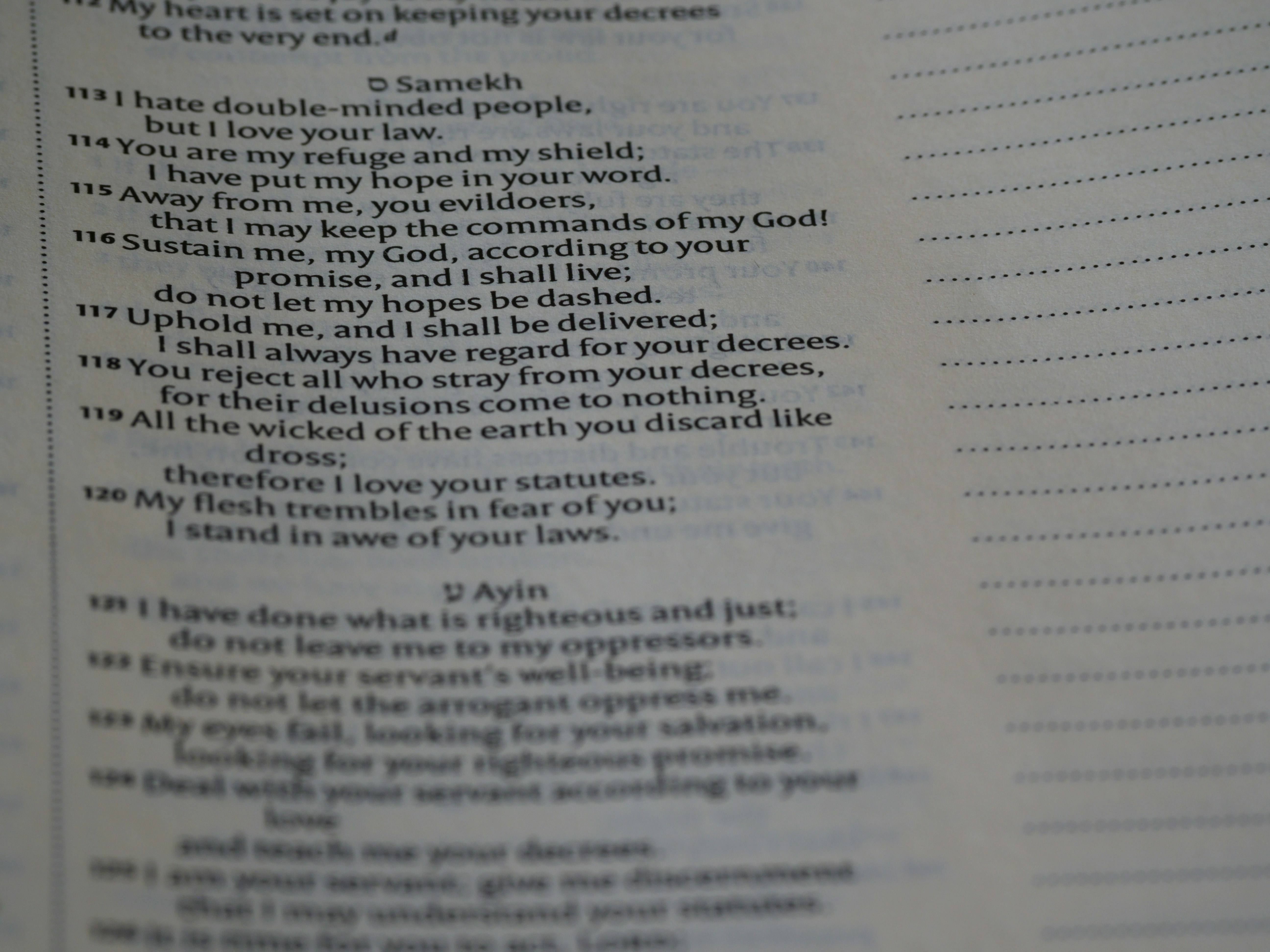 Photo by brett_jordan