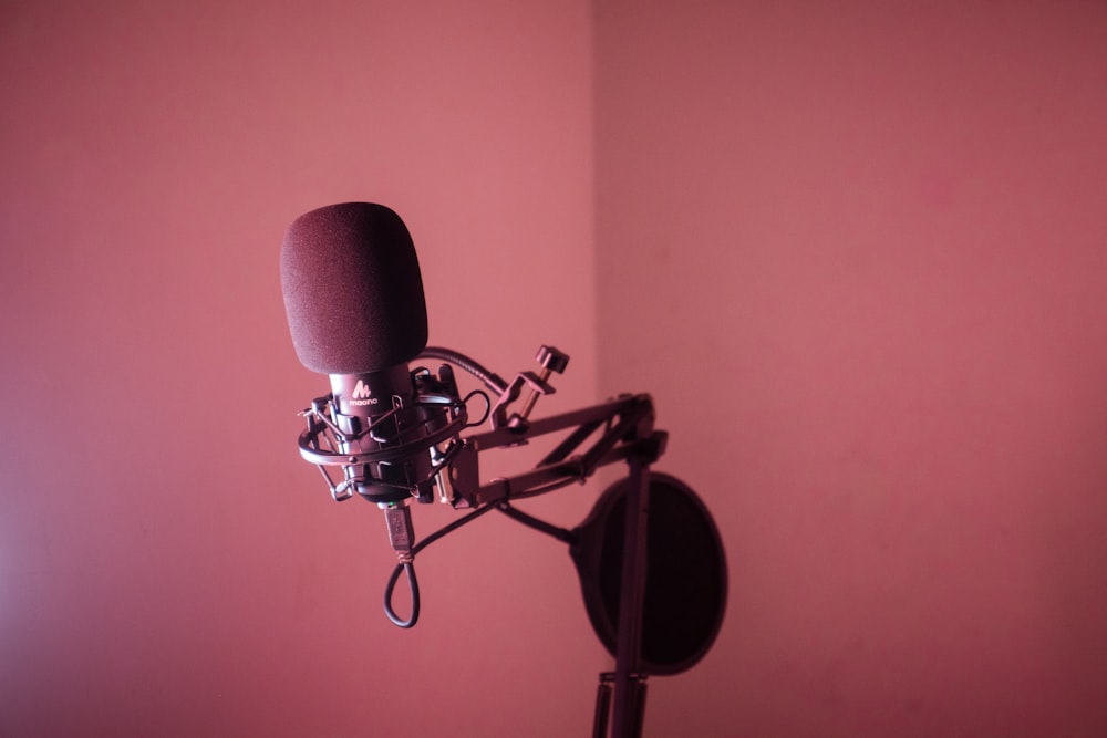 a black and silver microphone