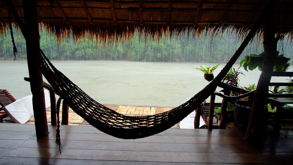 a hammock from a tree over a body of water