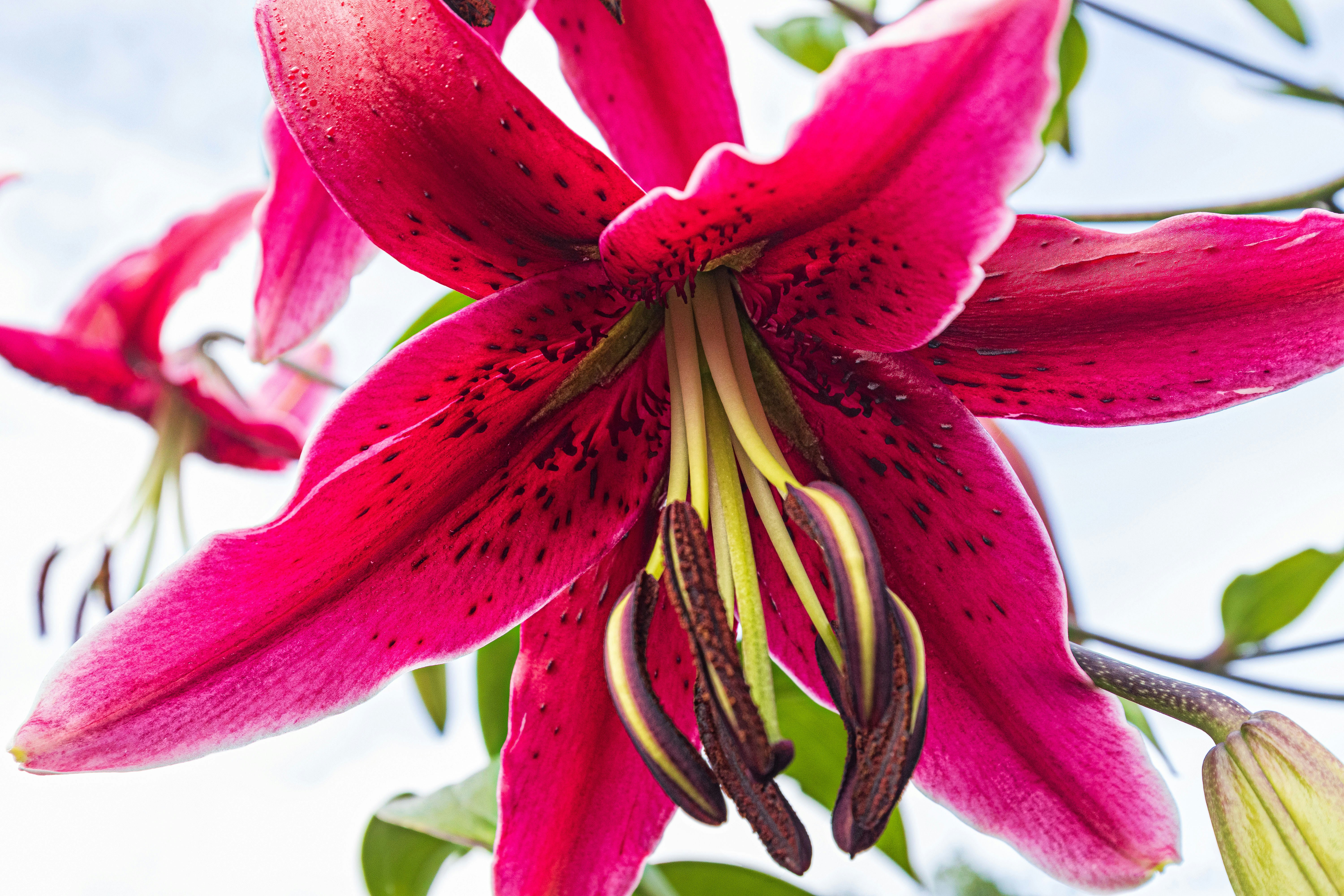 Photo by heino_120206