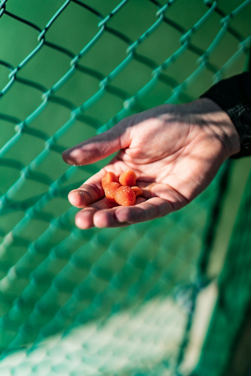 a hand holding a small red object