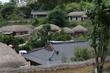 A cluster of traditional thatched-roof houses set among lush green trees. The architectural style is indicative of a historic or cultural village with buildings nestled into a hillside. The scene is serene, with a mixture of natural elements surrounding the structures, including trees and bushes.