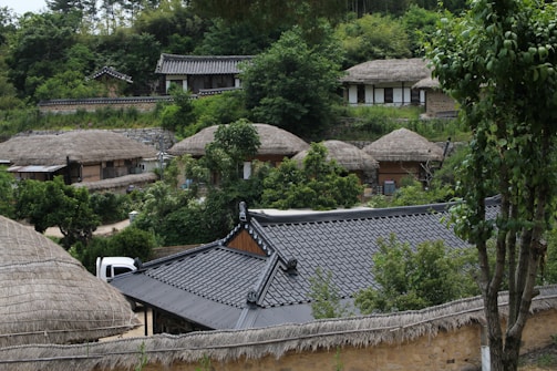 A cluster of traditional thatched-roof houses set among lush green trees. The architectural style is indicative of a historic or cultural village with buildings nestled into a hillside. The scene is serene, with a mixture of natural elements surrounding the structures, including trees and bushes.