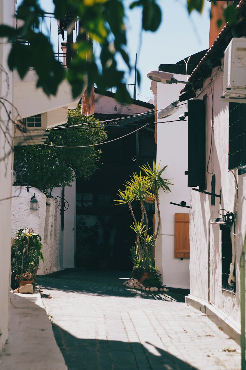 a street with buildings and trees