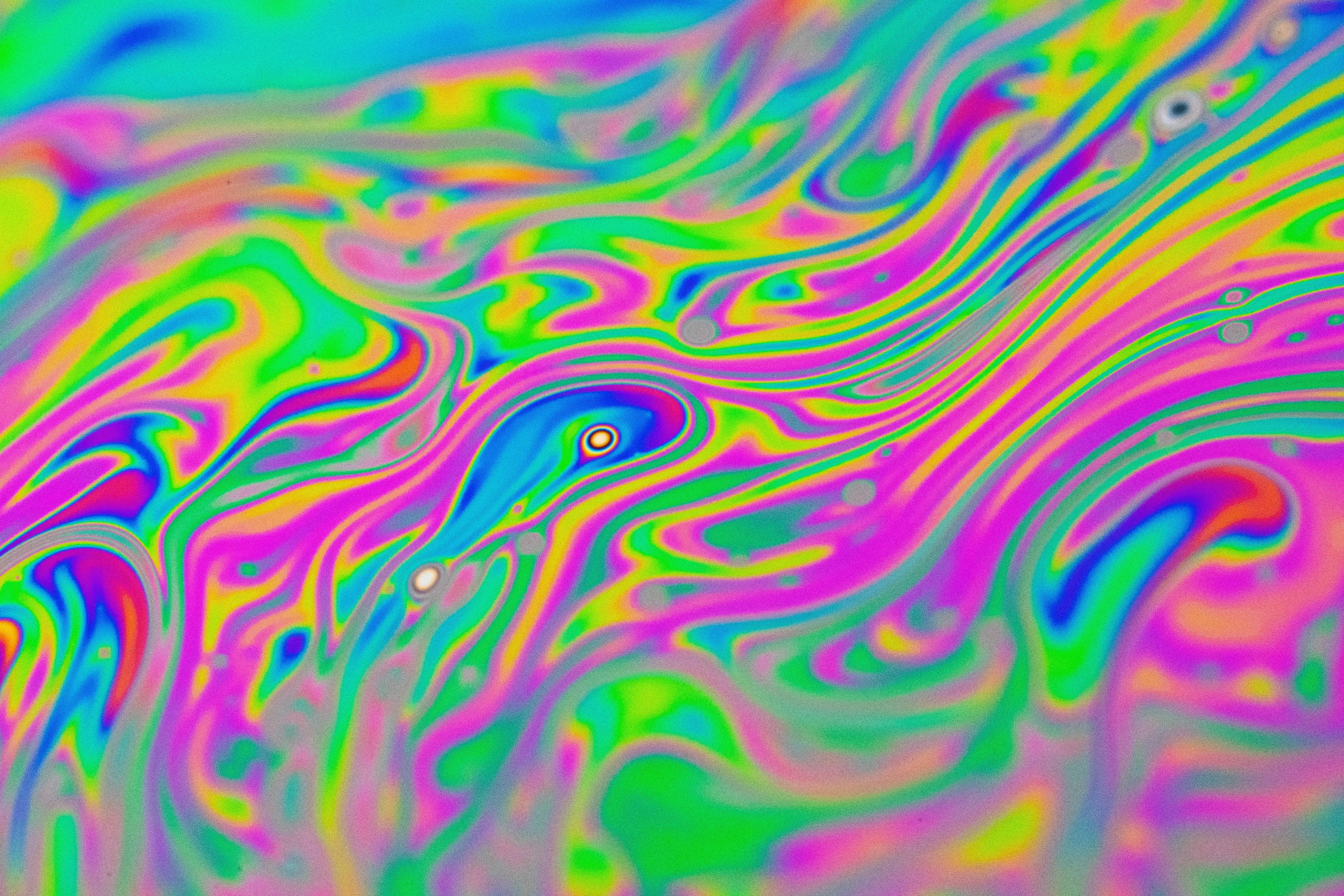 Photo by marcoangelo